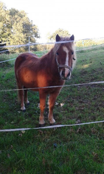 Photo de profil de gwendals