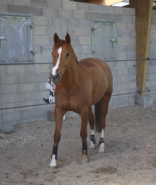 Photo de profil de orleane