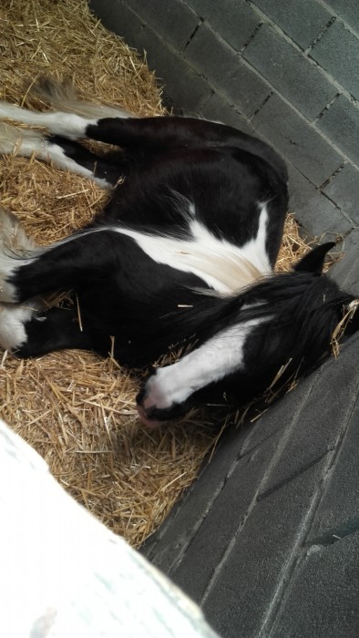 Photo de profil de nawelponey2018