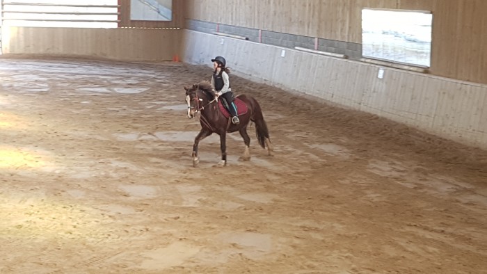 Photo de profil de valdie