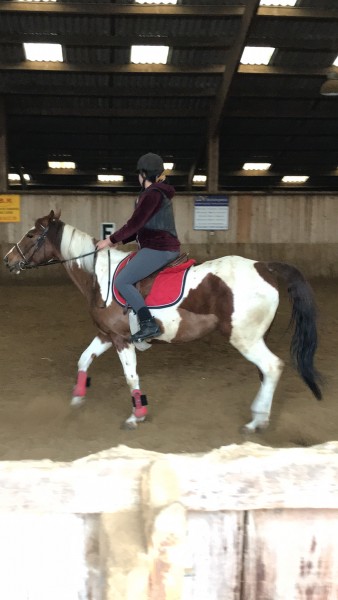 Photo de profil de bloodlaurelmo