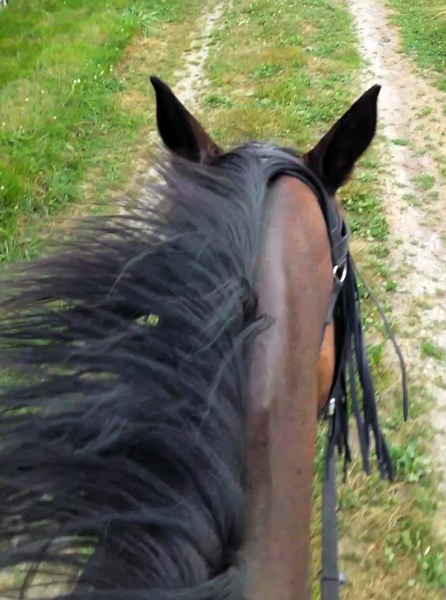 Photo de profil de marsen84