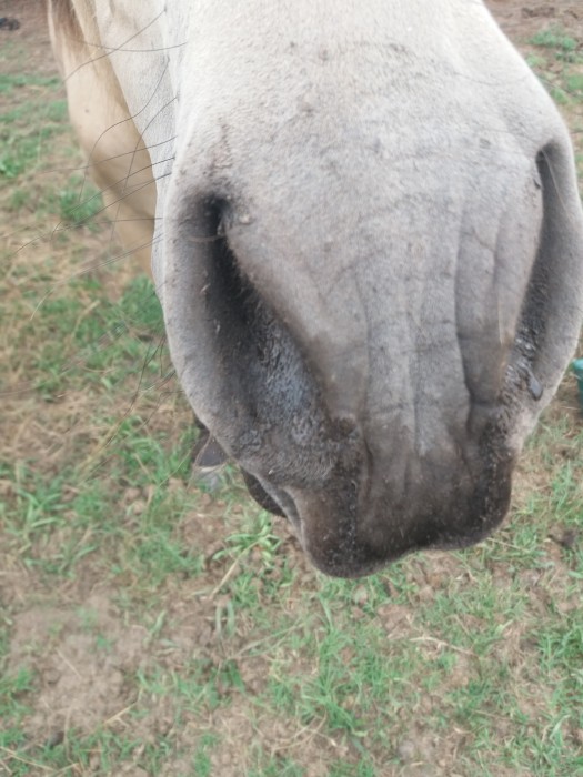 Photo de profil de lexii40120