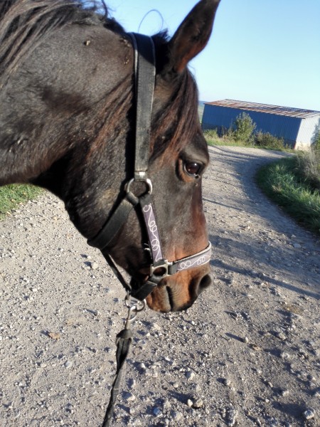 Photo de profil de chocapic2005s