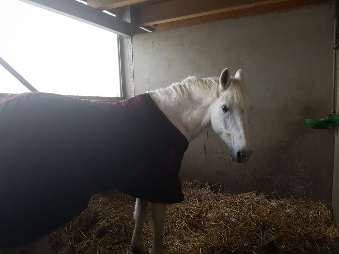 Photo de profil de sisine34