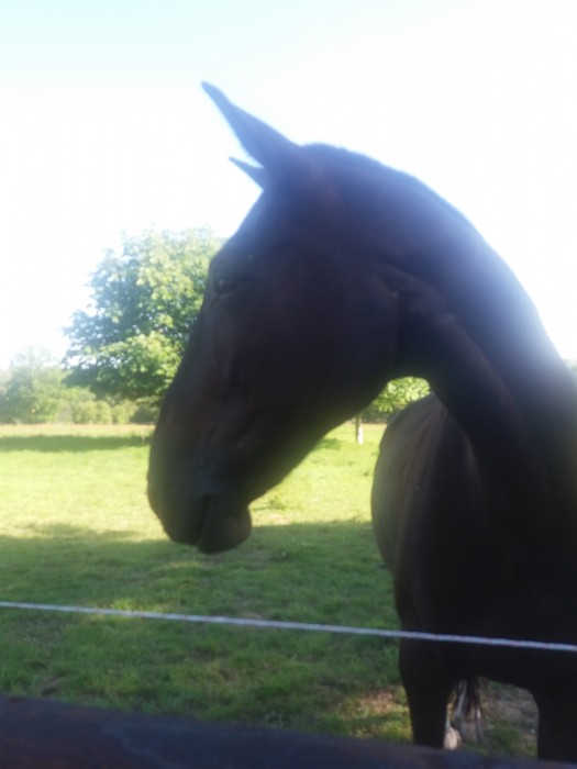 Photo de profil de melina.fedor