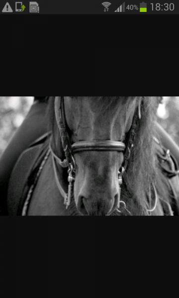 Photo de profil de shet31