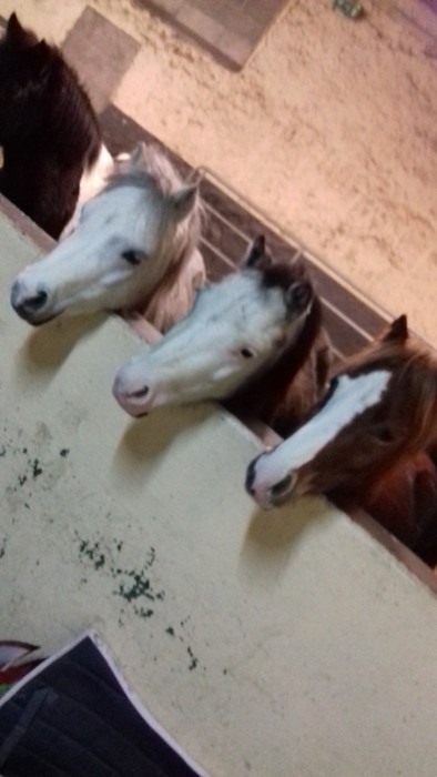 Photo de profil de lau22