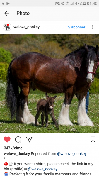 Photo de profil de shire04