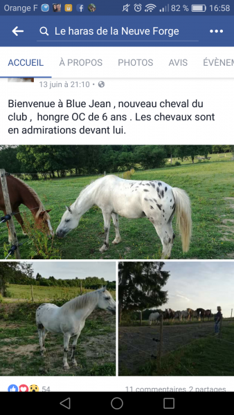 Photo de profil de leoniemoulin