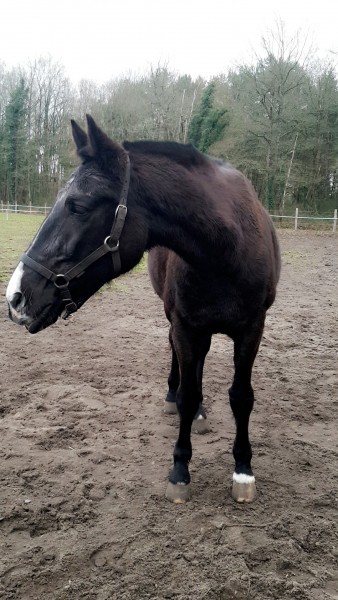 Photo de profil de damien.chasse