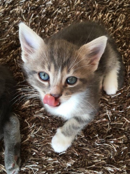 Photo de profil de vanillepistache