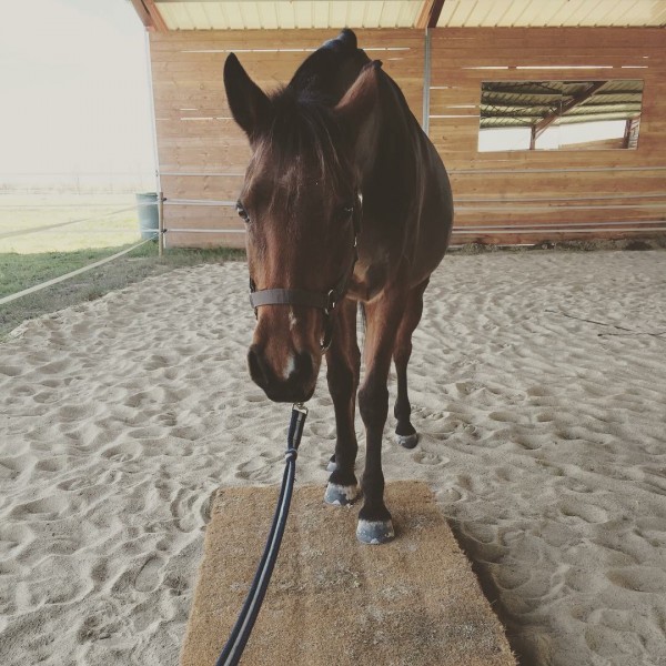 Photo de profil de camfilou
