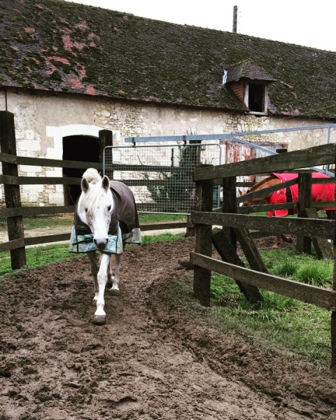 Photo de profil de gemeline_crt