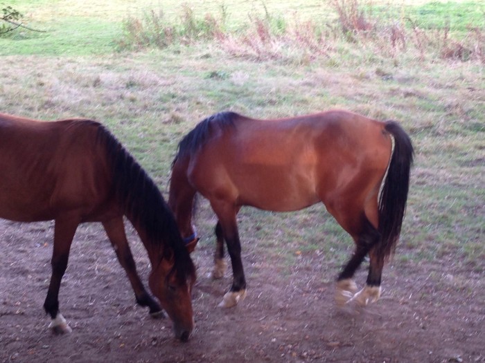 Photo de profil de clara_59