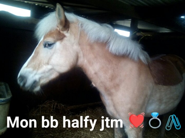 Photo de profil de mzelle.horsy