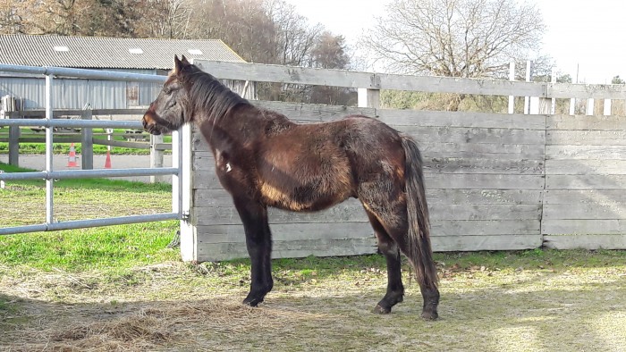 Photo de profil de dakota56