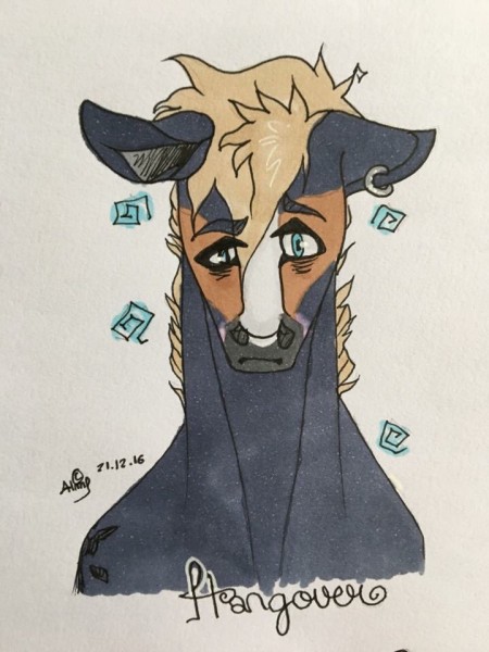 Photo de profil de ruffy