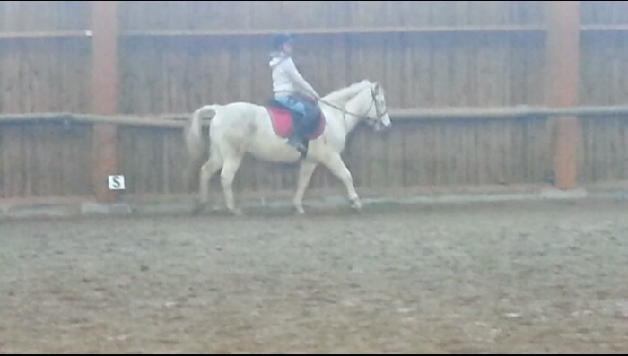 Photo de profil de marina.v.horse