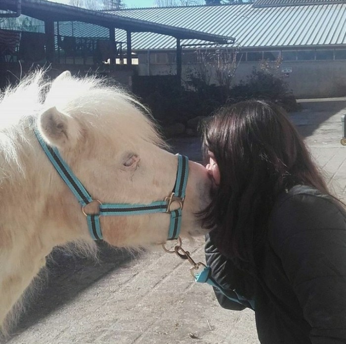 Photo de profil de coeur.de.poneys