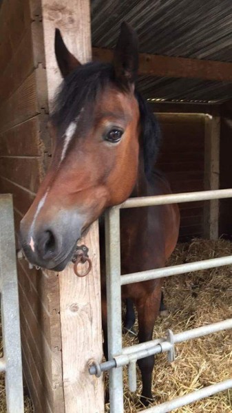 Photo de profil de noemy76