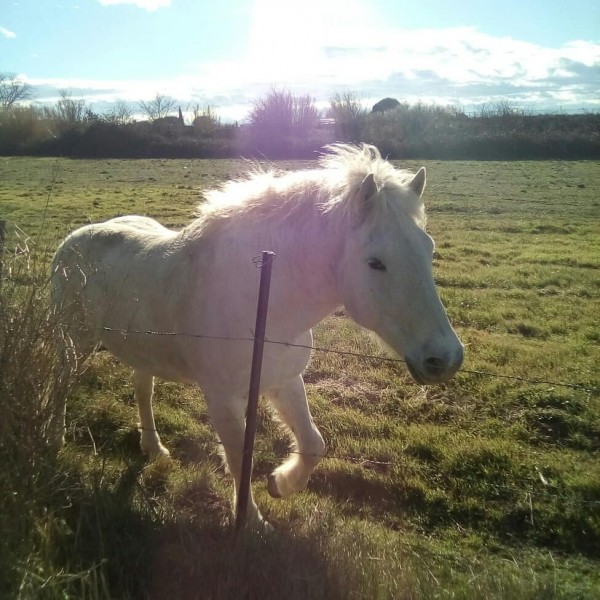 Photo de profil de asco3074