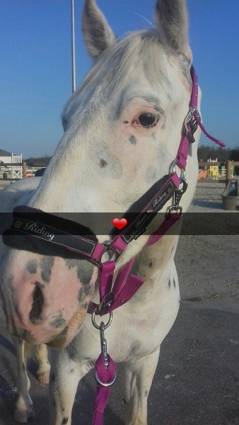 Photo de profil de asuna.02