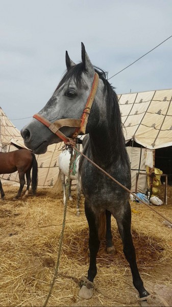 Photo de profil de lilouumj