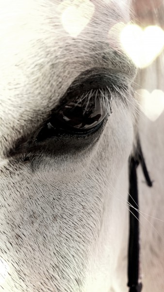 Photo de profil de love.iooa.02