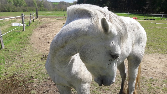 Photo de profil de aure638