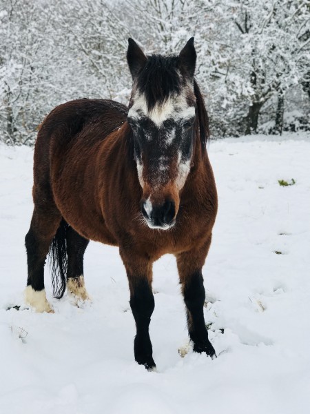 Photo de profil de gianna