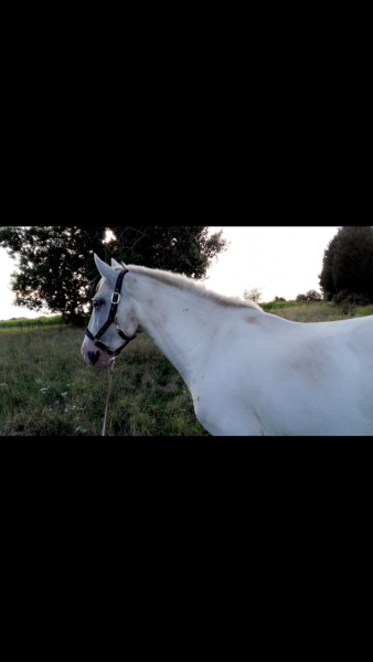 Photo de profil de pepsouil.p