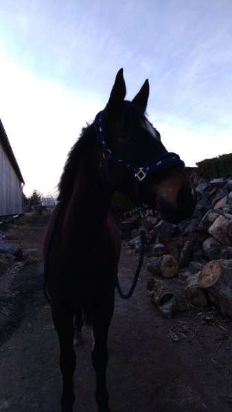 Photo de profil de zoe.gerentes