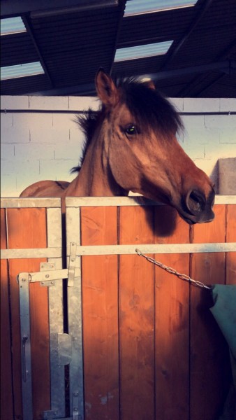 Photo de profil de aly77