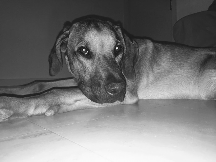 Photo de profil de chloenuts