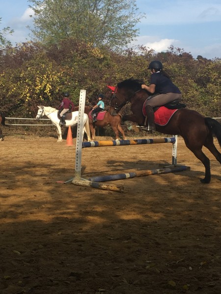 Photo de profil de cheyennehorse08
