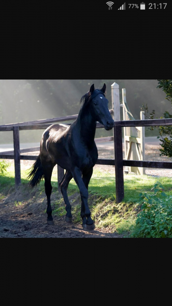 Photo de profil de anaisssmmm