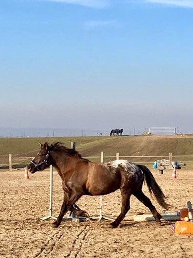 Photo de profil de lolopaquou