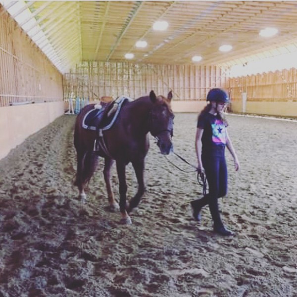 Photo de profil de lili_love_horse