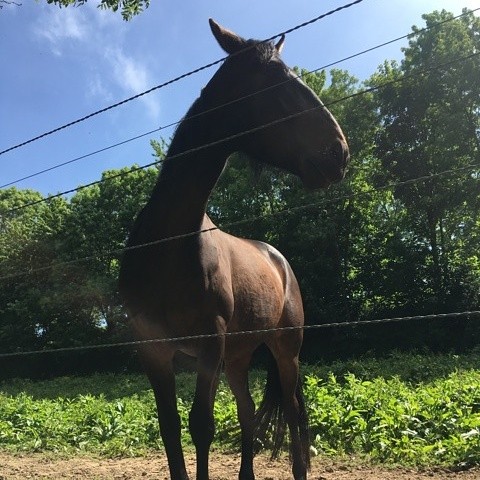 Photo de profil de clotilde762