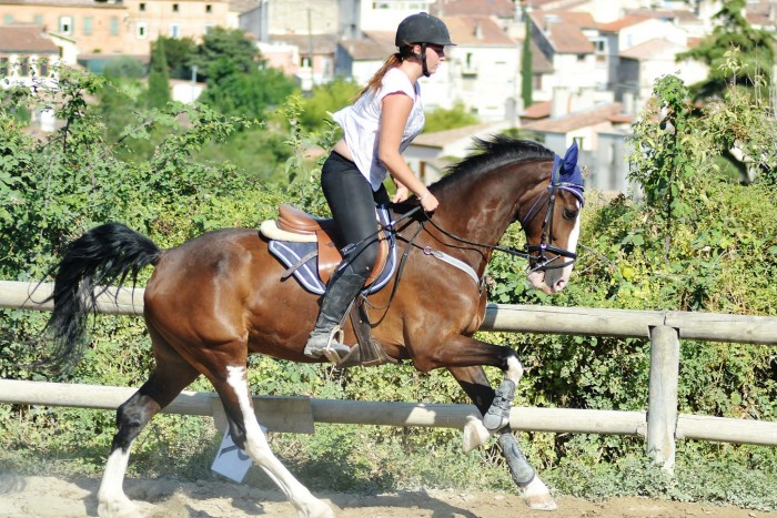 Photo de profil de cecile.p