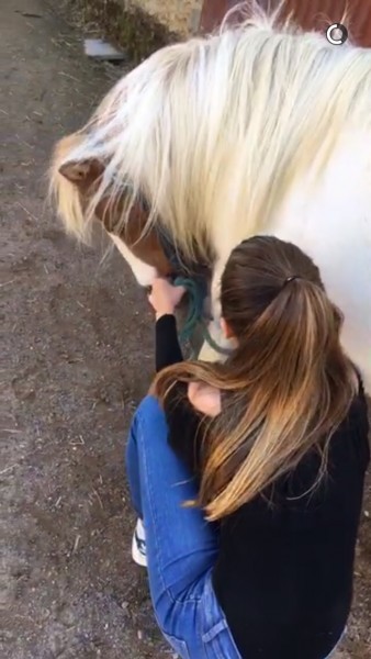 Photo de profil de lilou346