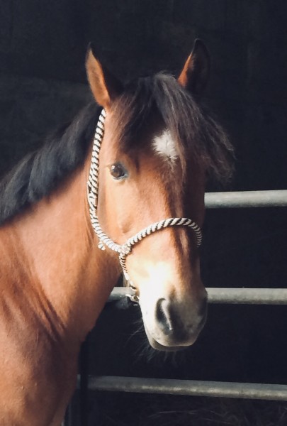 Photo de profil de titidamour