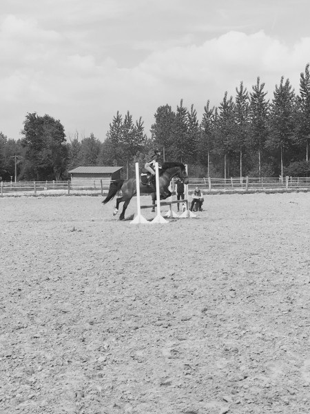 Photo de profil de pony_bai