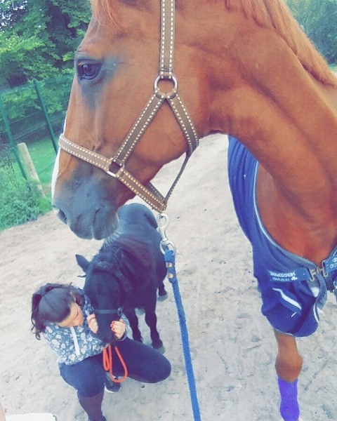 Photo de profil de perinneporquier