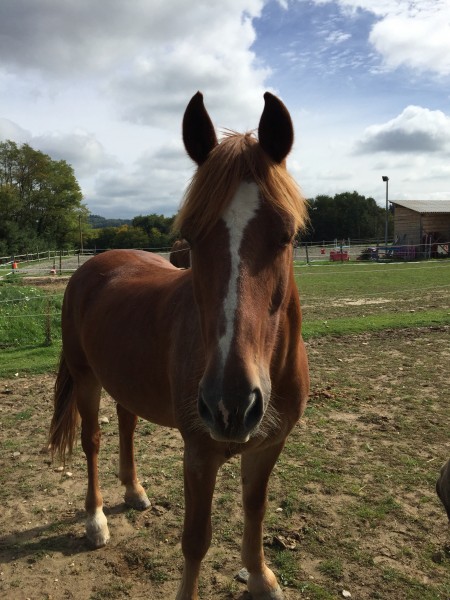 Photo de profil de laurieoslo