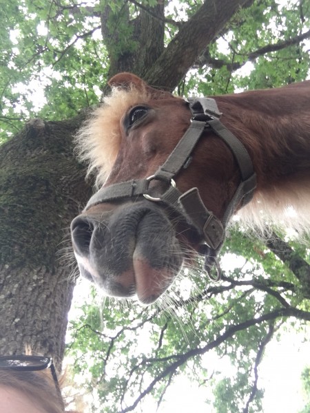 Photo de profil de luciepllx