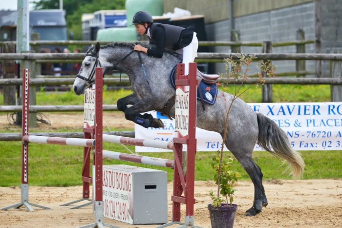 Photo de profil de mystery