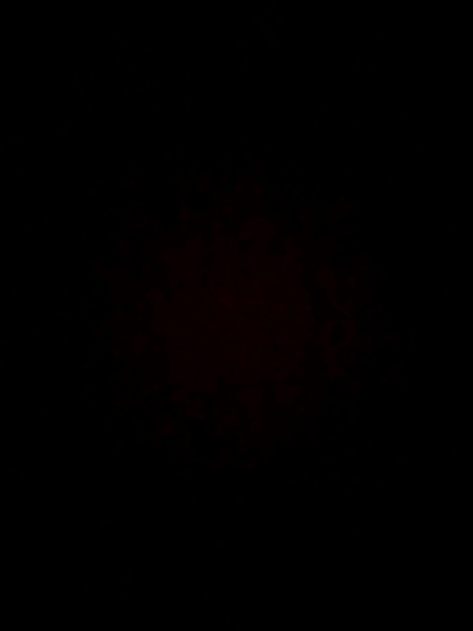 Photo de profil de pitchoune0208