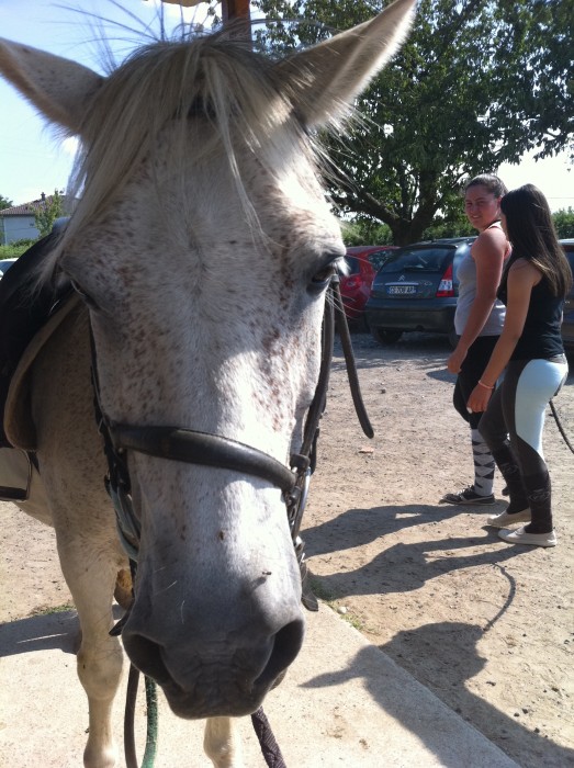 Photo de profil de plumeandbeleyme